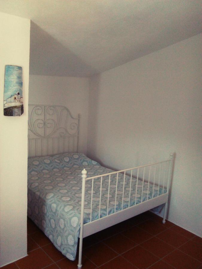 Palheiros Da Ribeira Guest House Pracana Cimeira ภายนอก รูปภาพ