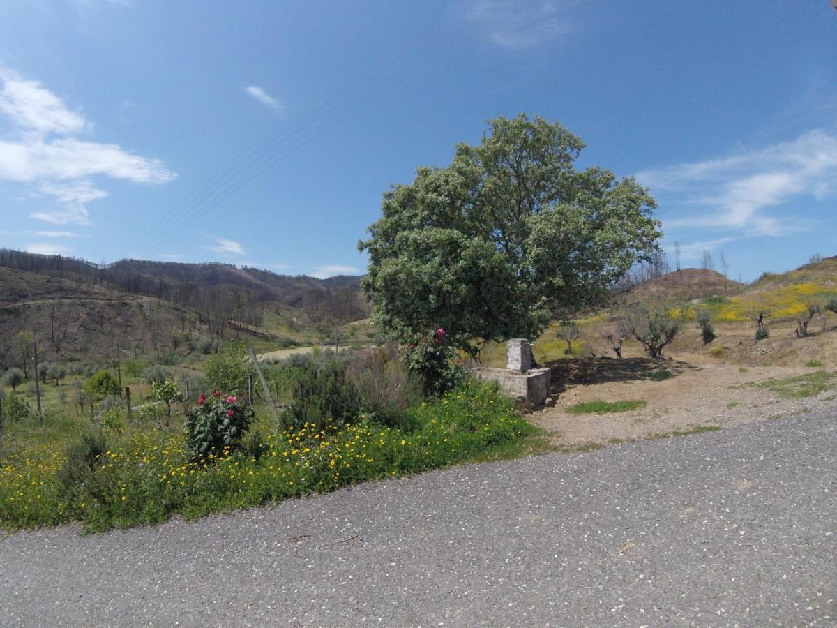 Palheiros Da Ribeira Guest House Pracana Cimeira ภายนอก รูปภาพ